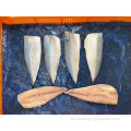 Exportación de mariscos Pescado de filete de caballa congelada
